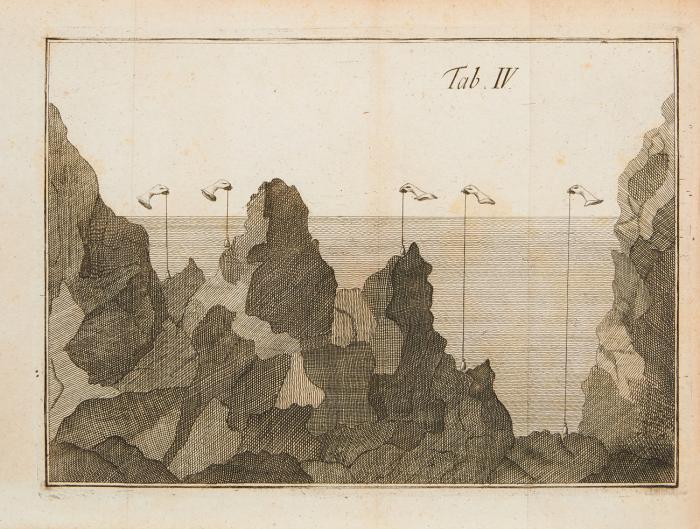 Neue Untersuchung der Veränderungen des Erdbodens, nach Anleitung der Spuren von Meerthieren und Meergewächsen, die auf Bergen, und in trockener Erde gefunden werden. Aus dem Italienischen übersetzt.