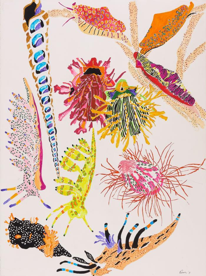 SEA CRUSTACEANS