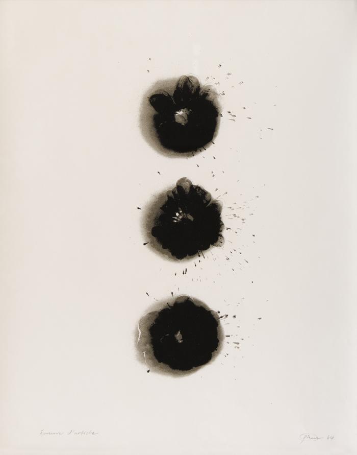 OHNE TITEL (BLATT 8 ZU: ROSE ODER STERN)