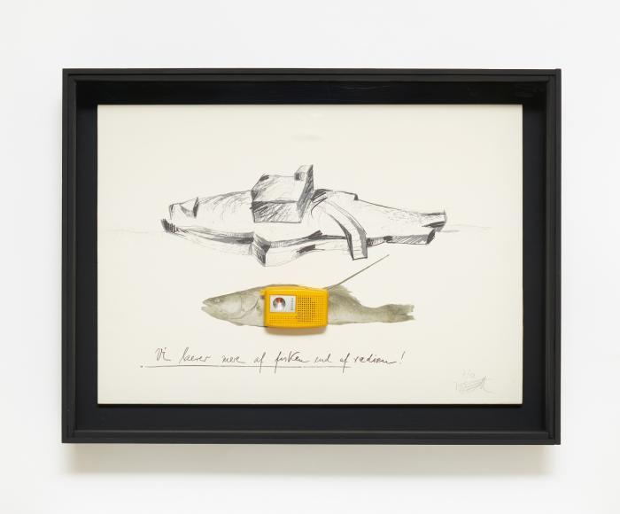 RADIO-FISCH