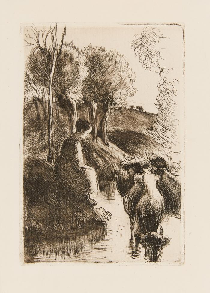 Vachère au bord de l'eau.