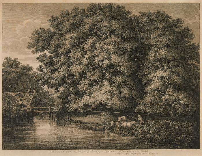 Die Mühle bei den großen Eichen