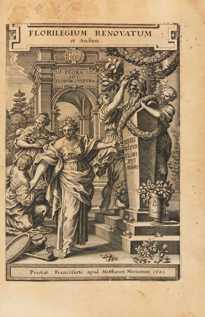 Florilegium renovatum et auctum. Das ist: Vernewertes und vermehrtes Blumenbuch: Von mancherley Gewächsen, Blumen un(d) Pflanzen.