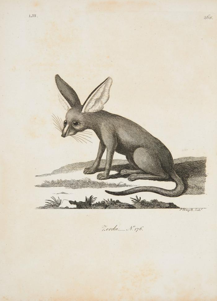 History of quadrupeds. Third edition. Bd. I. (von 2).