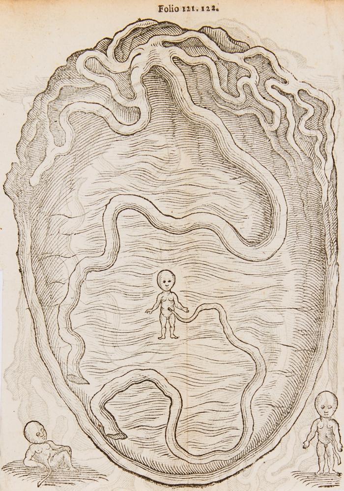 De integritatis et corruptionis virginum noti: graviditate item &  partu naturali mulierum, opuscula. II. L. Bonacciuoli. Enneas muliebris; III. F. Platter. De origini partium, earumque in utero conformatione. IV. P. Gassendi. De septo cordis pervio, observatio. V. M. Sebizius. De notis virginitatis.