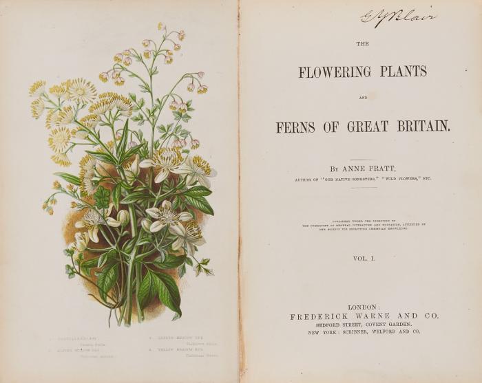 The flowering plants and ferns of Great Britain. 6 Bde.
