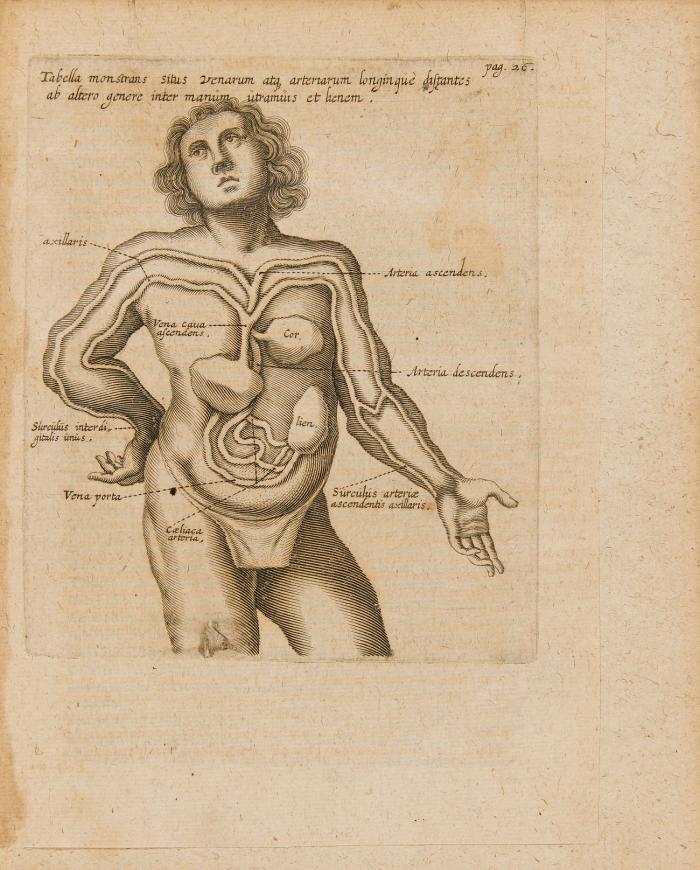 Varia Opuscula Anatomica. Praemissae sunt observationes chirurgiae infusioriae hominibus adhibitae. Dissertatio de generatione animalium Theodori Aldes. M. Gayani Parisienis, ex Gallico sermone in latinum versa