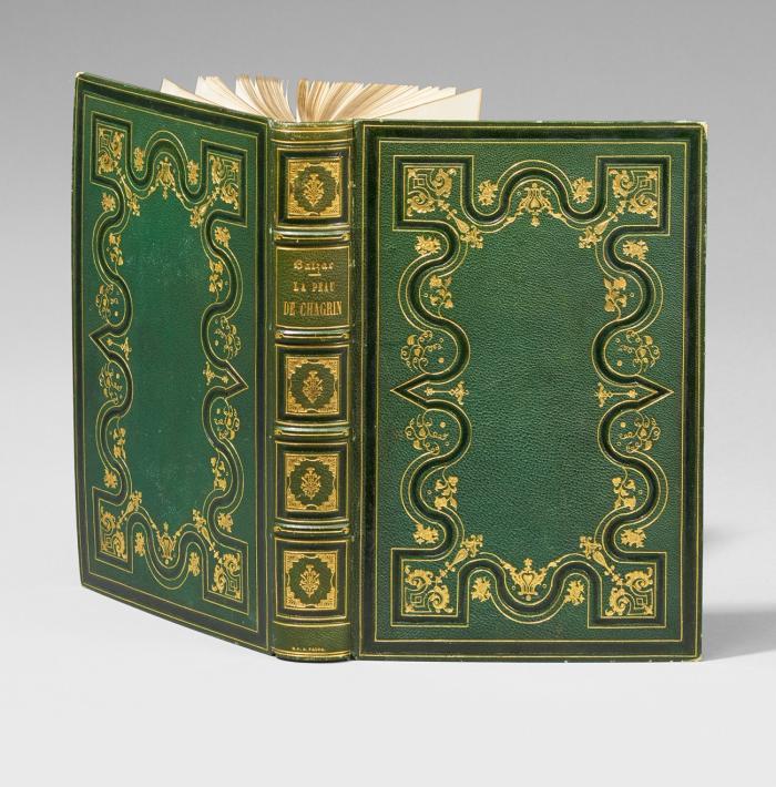 Balzac illustré. La peau de chagrin. Études sociales.