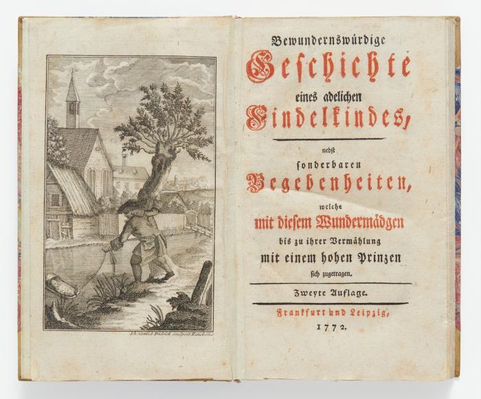 Bewundernswürdige Geschichte eines adelichen Findelkindes, nebst sonderbaren Begebenheiten, welche mit diesen Wundermägden bis zu ihrer Vermählung mit einem hohen Prinzen sich zugetragen.