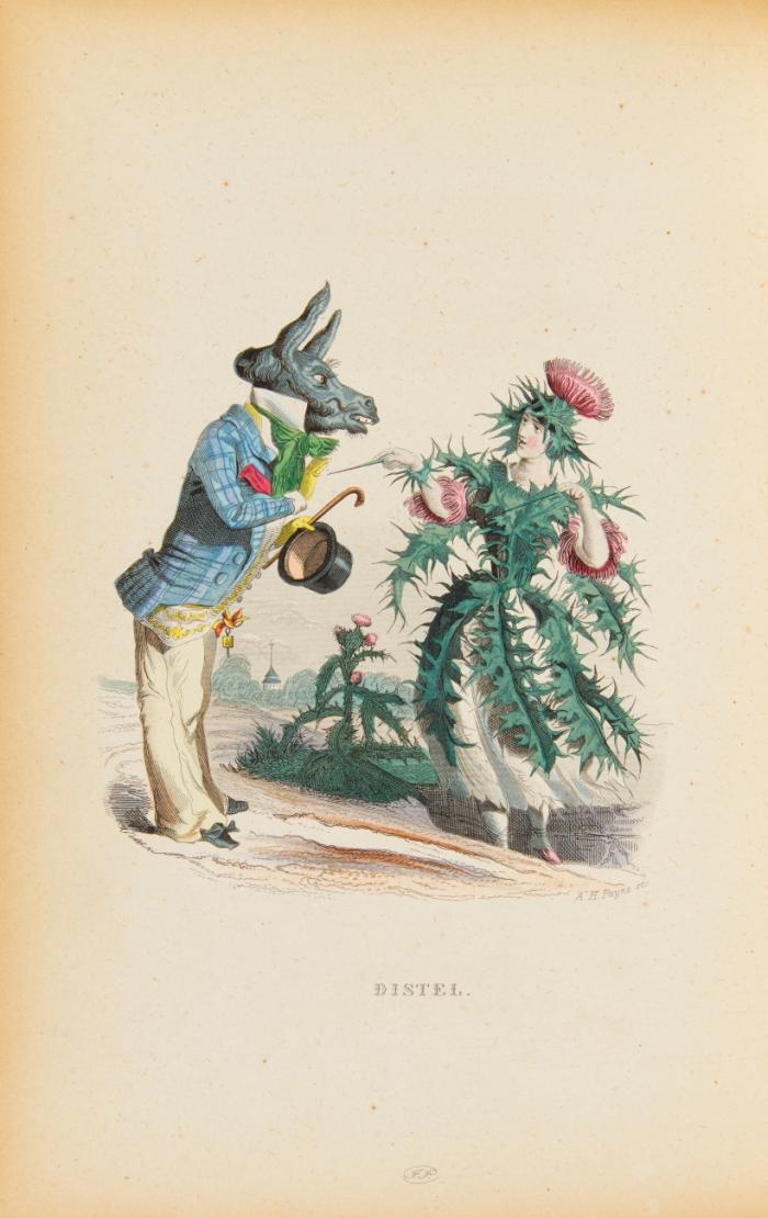 Die Pilgerfahrt der Blumengeister. 2. umgearb. und verb. Aufl.
