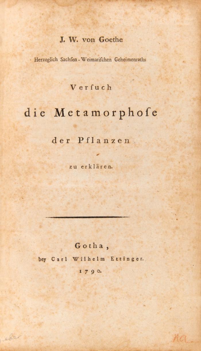 Versuch die Metamorphose der Pflanzen zu erklären.