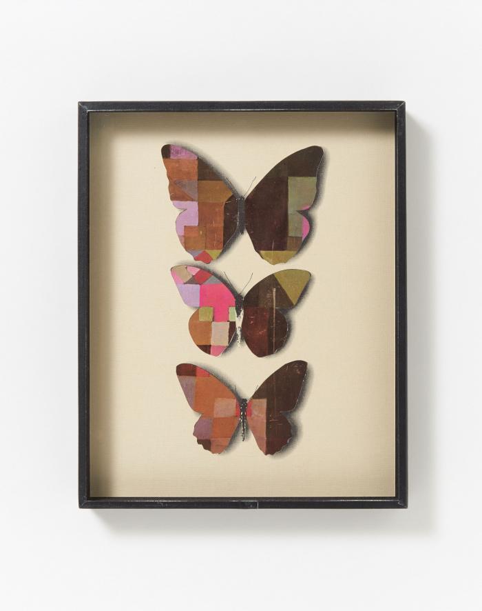 OHNE TITEL (SCHMETTERLINGE)