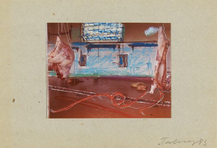 OHNE TITEL (SCHLACHTHOF)