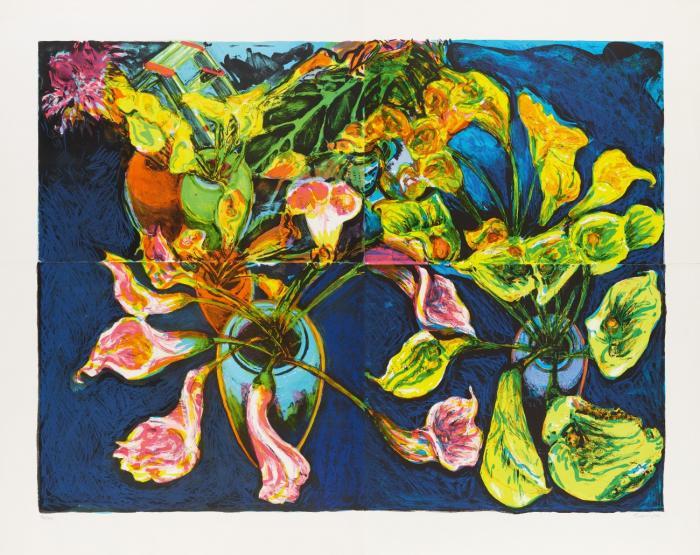 CALLA