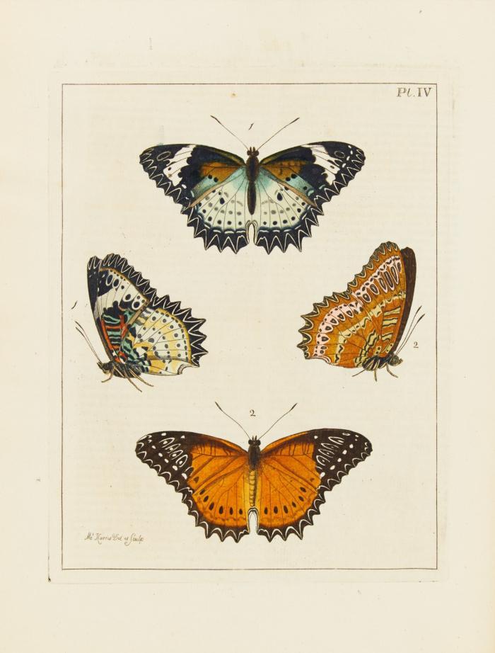 llustrations of Natural History. Wherein are exhibited upwards of two hundred and forty figures of exotic insects. (Nur Bd. I v. 3).