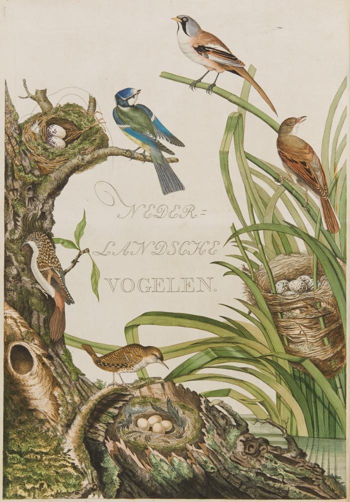 Nederlandsche vogelen; volgens hunne huishouding, aert, en eigenschappen beschreeven; volgens hunne huishouding, aert, en eigenschappen. (Vol. II ff.: en verder, na zyn ed. overlyden, door Martinus Houttuyn.) Alle naer 't leven ... getekend, in 't koper gebragt, en natuurlyk gekoleurd door, en onder opzicht van Christiaan Sepp en zoon. Tle I-III (v. 5)  in 2 Bden.
