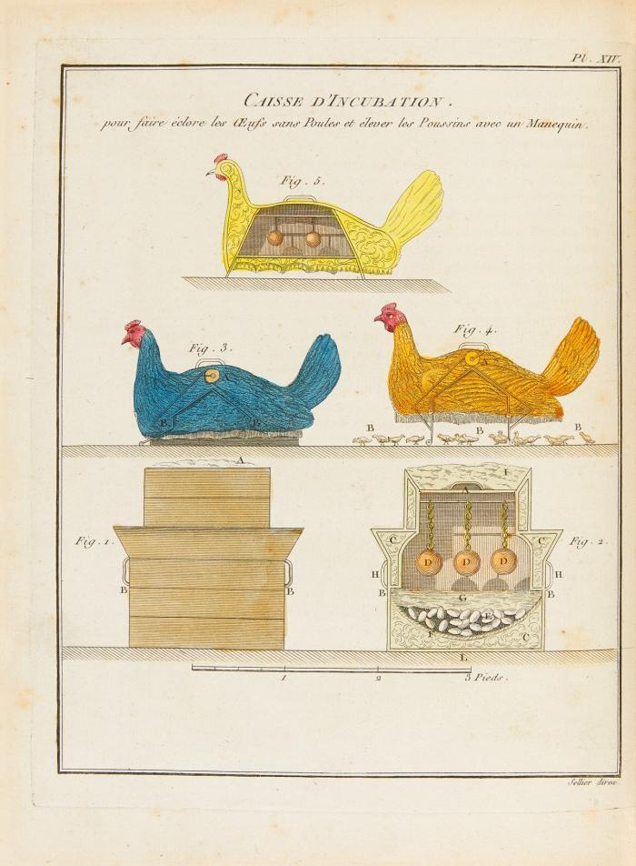 Oeuvres d'agriculture et d'économie rurale. Nouv. édition.