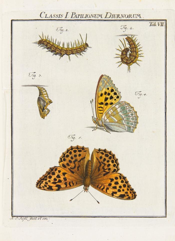 Der monatlich-herausgegebenen Insecten-Belustigung Erster (- vierter) Theil. Dazu  Nachtragsband von Ch. F. C.Kleemann: Beyträge zur Natur- oder Insecten-Geschichte. 1. Teil (v. 2). Insgesamt 5 Bde.