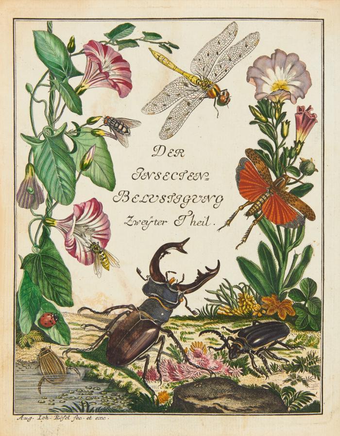 Der monatlich-herausgegebenen Insecten-Belustigung zweyter (dritter) Theil.  2 Bde. (v. 5)