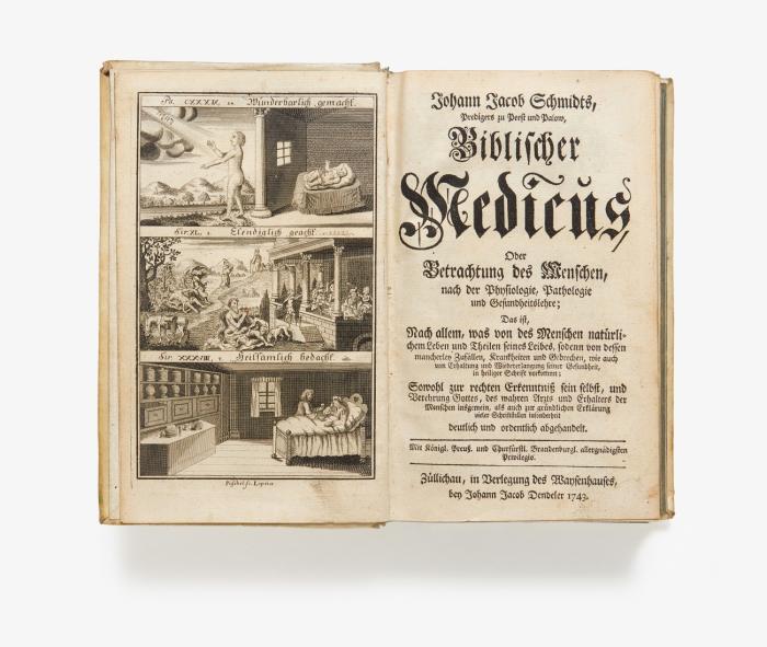 Biblischer Medicus. Oder Betrachtung des Menschen, nach der Physiologie, Pathologie und Gesundheitslehre. Das ist, nach allem, was von des Menschen natürlichem Leben und Theilen seines Leibes, sodenn von dessen mancherley Zufällen, Krankheiten und Gebrechen, wie auch von Erhaltung und Wiedererlangung seiner Gesundheit, in heiliger Schrift vorkommt.