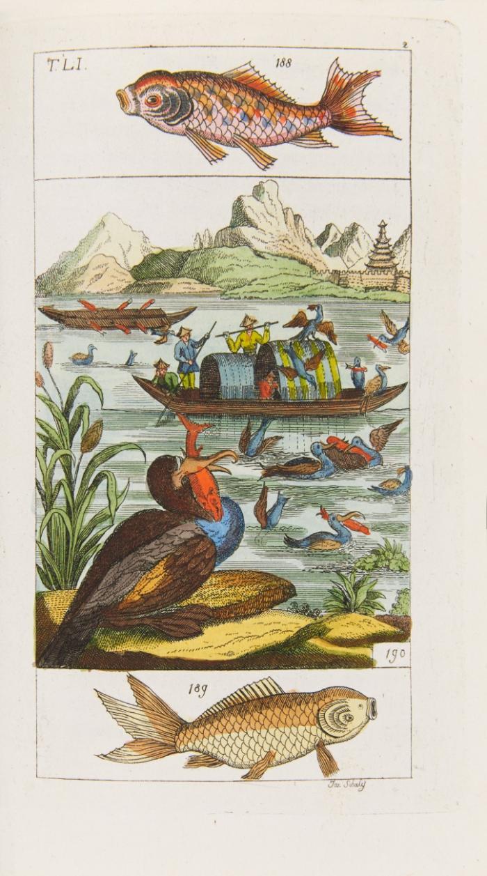 Unterhaltungen aus der Naturgeschichte. Der Fische erster / zweiter Theil. 2 Tle. in 1 Bd.