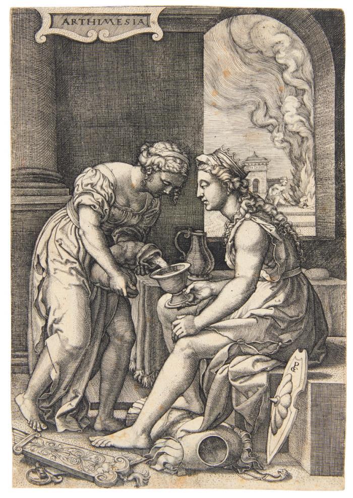 Artemisia.