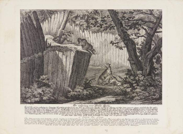Löwenköpfe / Liegende Löwen. / Löwenjagd. / Das Pferd und der Löwe. / Hand Pferd eines Pascha. / Divani von der lincken Seite. / Türckisch Keyserliches Hand Pferd. / Die in das Netz gefallene Hirsche. / Der Einsprung eines Wolffs Garten. / Der große schwarze Baehr. / Meerkatze mit langem Schwantz. / Füchsel maennigen. Katzenmaki. / Grünliche Meerkatze. Grüne Meerkatze. / Ein masquirter Affe aus Guinea. Grauer Pavian.