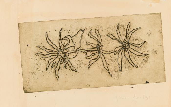 FLEURS SUR TIGE (FLOWERS ON A STEM) 1955 (?), VERSO AUS: MILAREPA, PAGE 26 1950