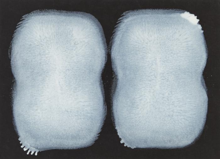 OHNE TITEL (KISSENBILD)