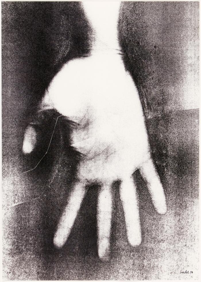 HAND (PROJEKT FLAGGE ZEIGEN - AKTION FÜR MEHR DEMOKRATIE)