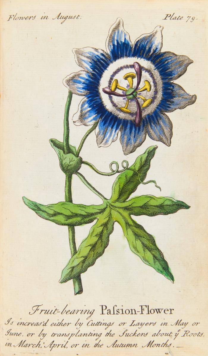 The compleat florist.