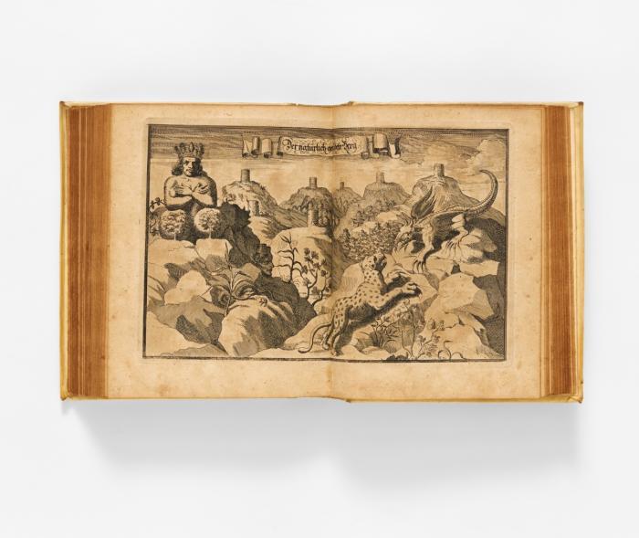 Grösseste Denkwürdigkeiten der Welt oder so genandte Relationes Curiosae ... Bde 2-4 (v. 5).