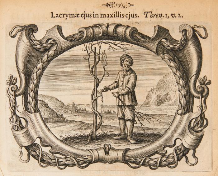 Lacrymae conjugales et parentales symbolis adumbratae, in funere celsissimae Principis Salmensis, Godefridae Mariae Annae Agnetae Ignatiae, e quinario carissimorum fonte pie manantes, moerentium totidem cordium indices, ab aMore et DoLore eXeqVIIs saCratae, a Collegio Societatis Jesu Aquisgranensi ...