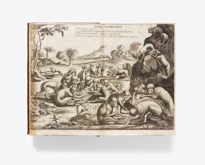 Historia Aethiopica, sive brevis et succincta descriptio regni Habessinorum, quod vulgò malè Presbyteri Iohannis vocatur.
Angebunden ders.: Ad suam Historiam Æthiopicam antehac editam commentarius ... / ders.: Relatio nova de hodierno Habeßiniæ statu ... / ders.: Dissertatio de locustis ... - 4 Bde. in 1.
