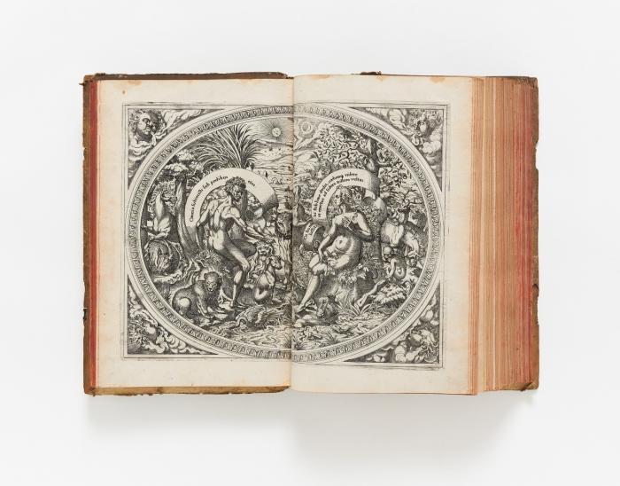 Catalogus gloriae mundi, ... jn qvo ... de dignitatibus, honoribus, praerogatiuis, et excellentia, spirituum, hominum, animantium, rerumq(ue) caeterarum omnium, quae coelo, mari, terra, infernoq(ue) ipso continentur, ita disseritur ...