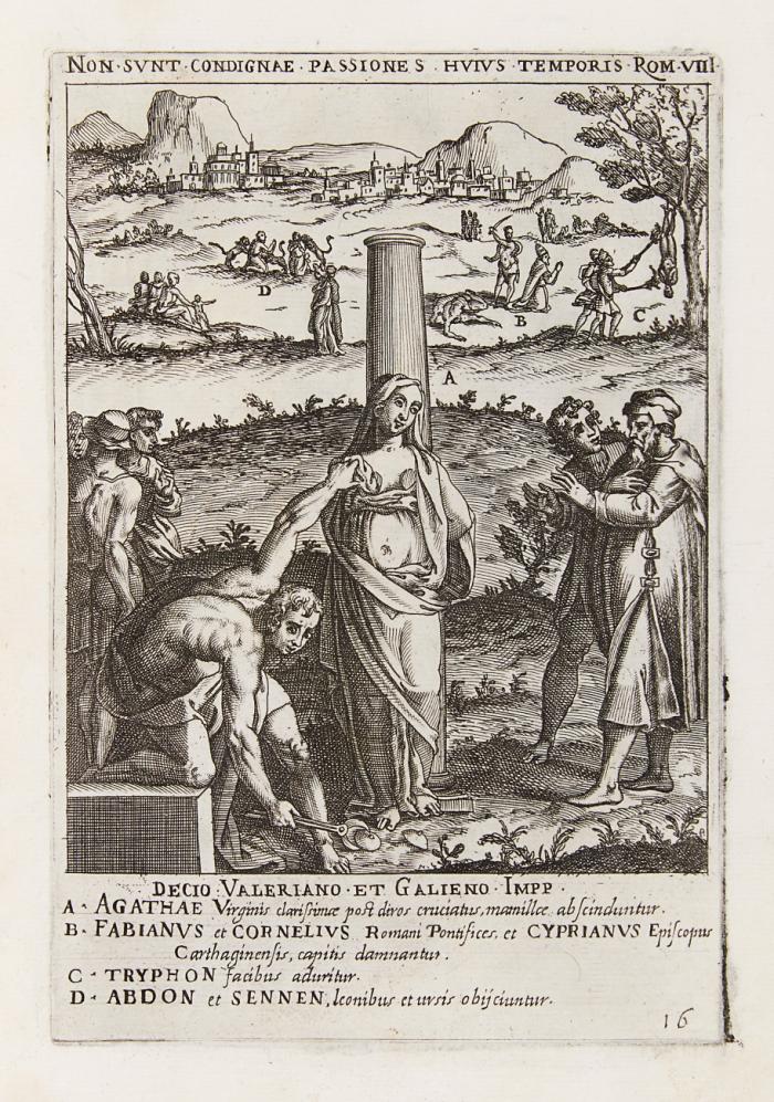 Ecclesiae militantis trivmphi sive Deo amabilium martyrvm gloriosa pro Chrsti fide certamina.