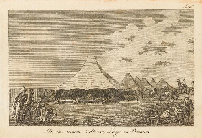 Reisen im Innern von Afrika auf Veranlassung der afrikanischen Gesellschaft in den Jahren 1795 bis 1797 unternommen. Aus dem Englischen.