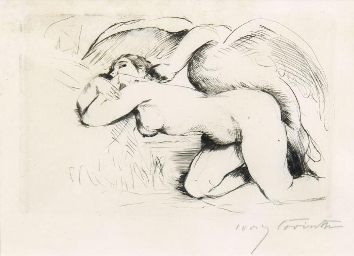 LEDA MIT SCHWAN