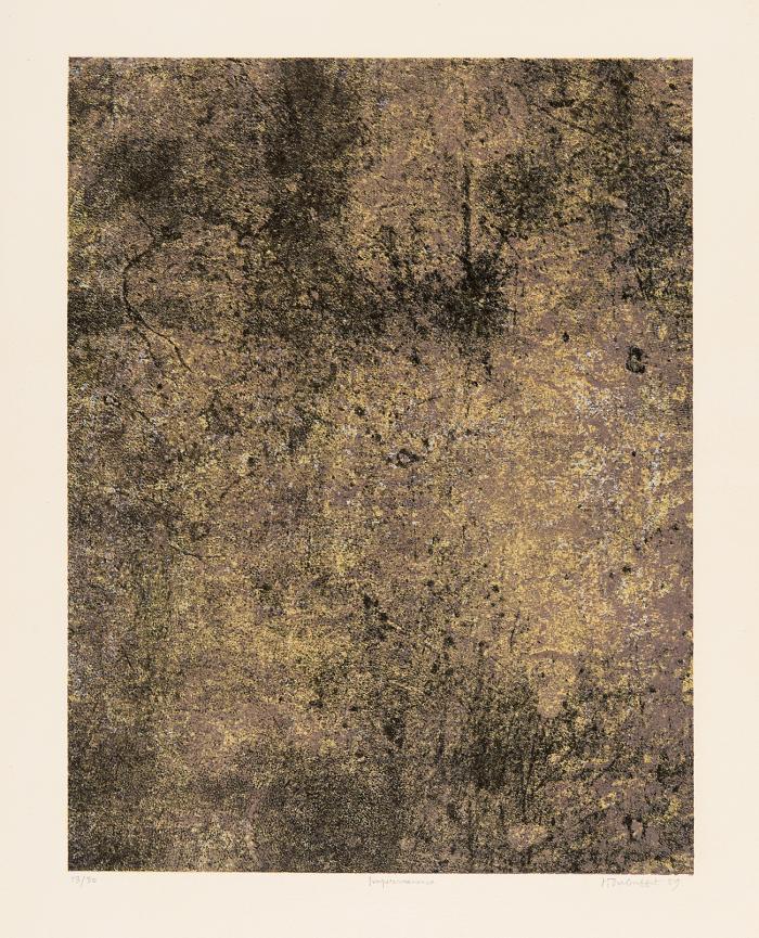 IMPERMANENCE (AUS: SPECTACLES)