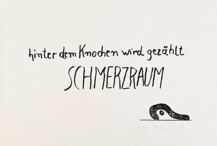 SCHMERZRAUM