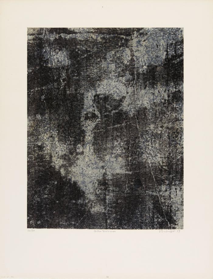GRÂCES TÉNÉBREUSES (AUS: L'ANARCHITECTE)