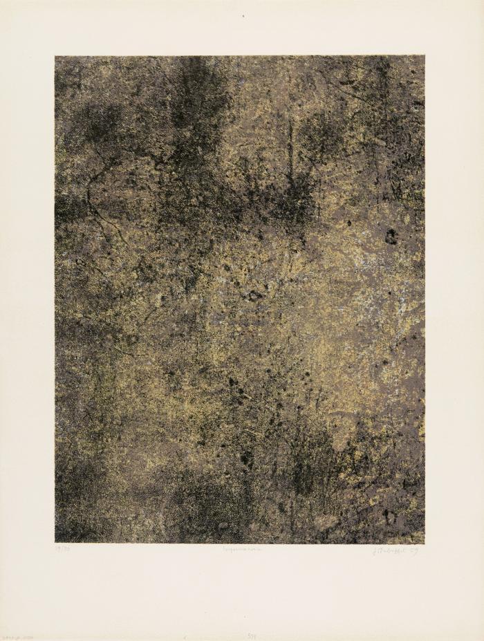 IMPERMANENCE (AUS: SPECTACLES)