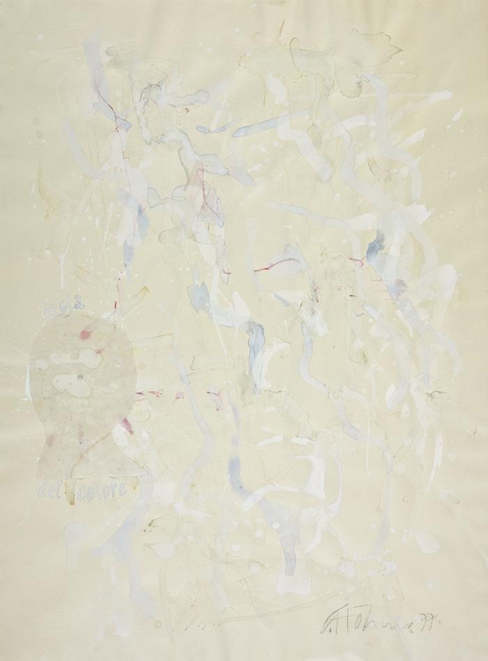 LA TESTA DEL COLORE