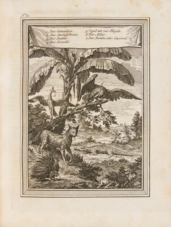 Allgemeine Historie der Reisen zu Wasser und zu Lande; oder Sammlung aller Reisebeschreibungen ... Bd. III.