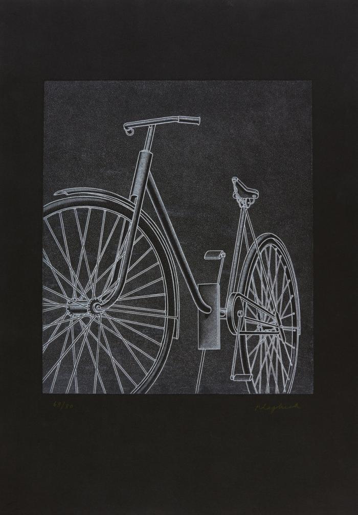 SCHICKSAL (FAHRRAD II)