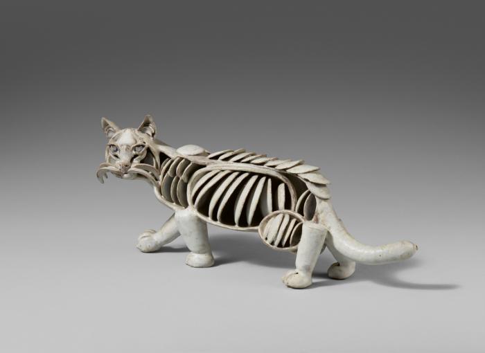 KATZE, SKELETTIERT