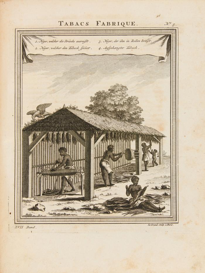 Allgemeine Historie der Reisen zu Wasser und zu Lande; oder Sammlung aller Reisebeschreibungen ... Bd. XII.