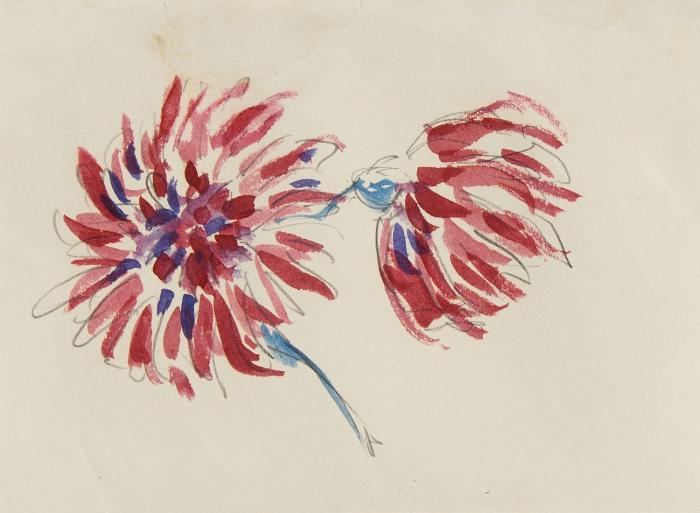 BLÜTEN (SKIZZENBLATT)