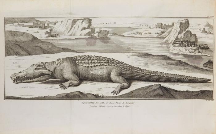 Histoire naturelle de la montagne de Saint-Pierre de Maestricht.