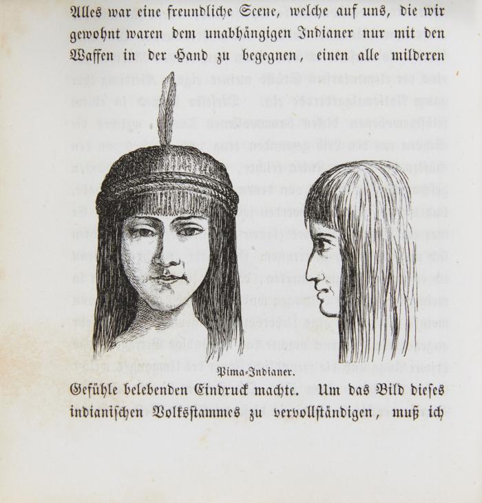 Aus Amerika. Erfahrungen, Reisen und Studien. 2 Bände.